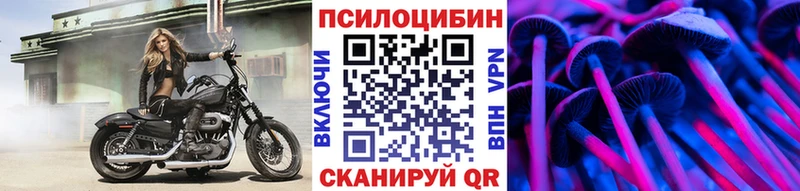 нарко площадка телеграм  Тында  Галлюциногенные грибы GOLDEN TEACHER  МЕГА как зайти 
